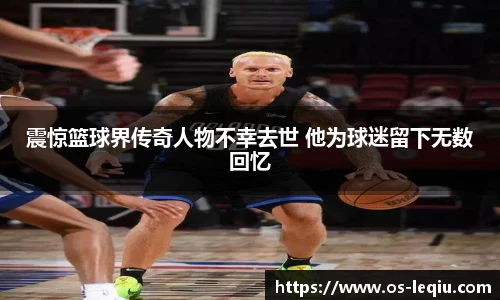 乐球体育直播间