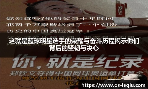 乐球体育直播