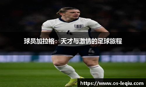 乐球体育