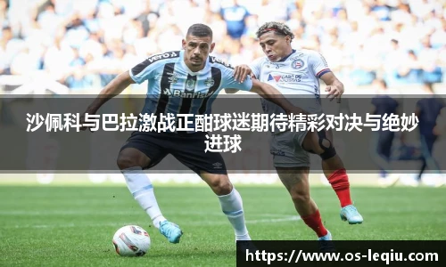 乐球体育直播