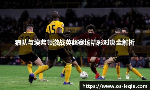 狼队与埃弗顿激战英超赛场精彩对决全解析