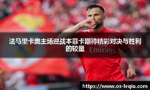 乐球体育直播